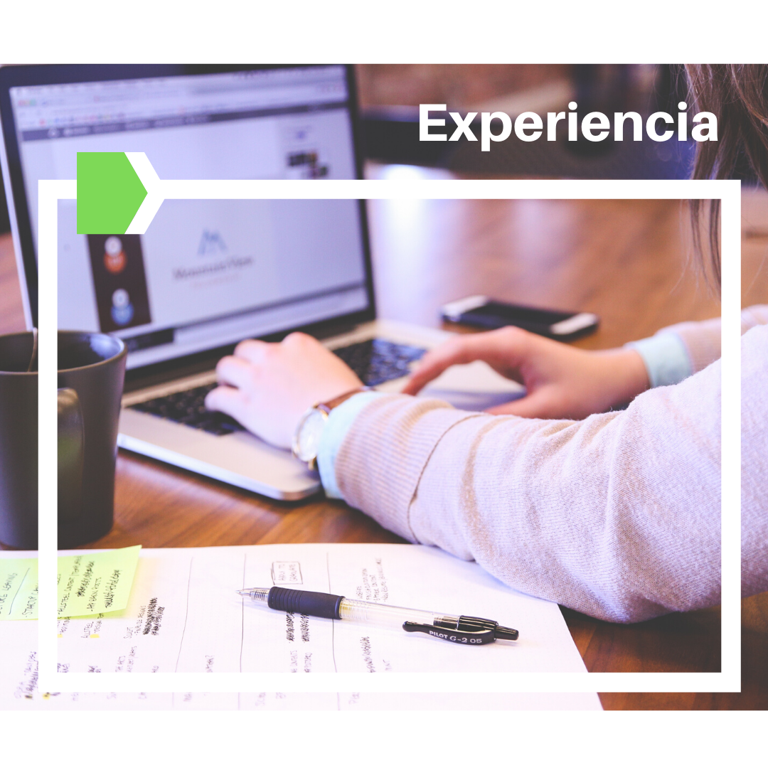 Experiencia Laboral en el Sector Productivo