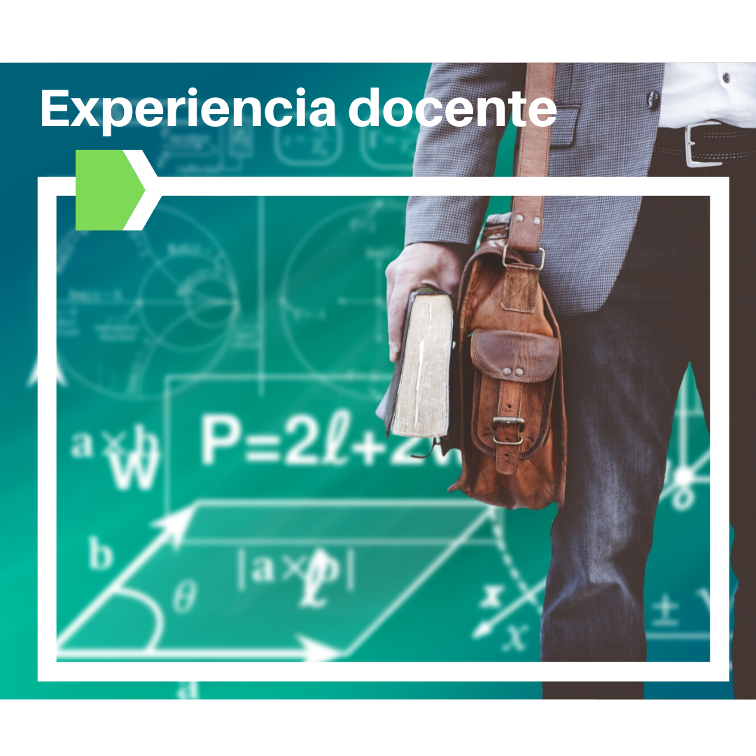 Experiencia Laboral en el Sector Académico