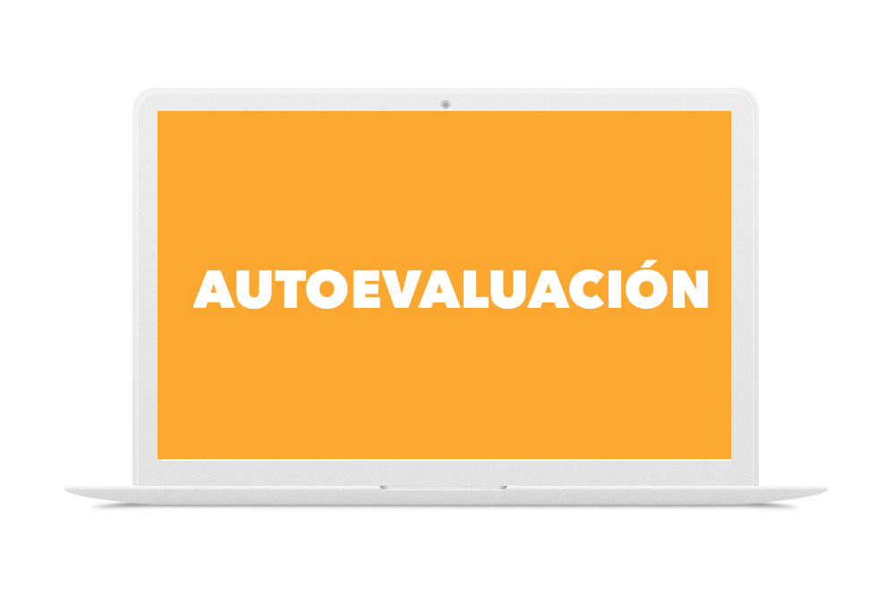 Objetivos, diseño y fases del proceso de autoevaluación