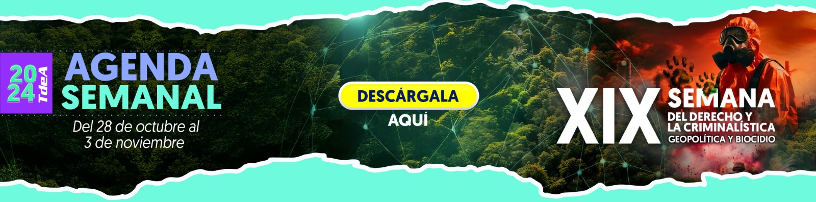 AGENDA SEMANA DEL 28 DE OCTUBRE AL 3 DE NOVIEMBRE