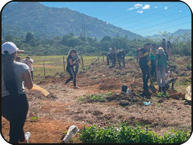 Jornada de siembra de árboles y adecuación de huerto realizada en el Municipio de Copacabana