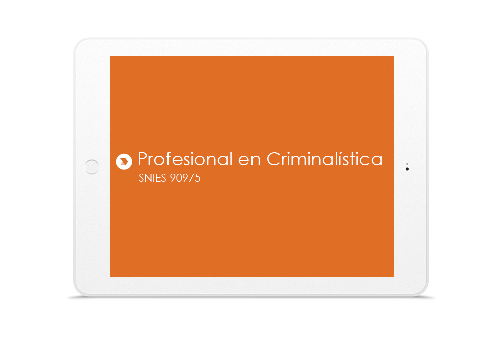 PROFESIONAL EN CRIMINALÍSTICA