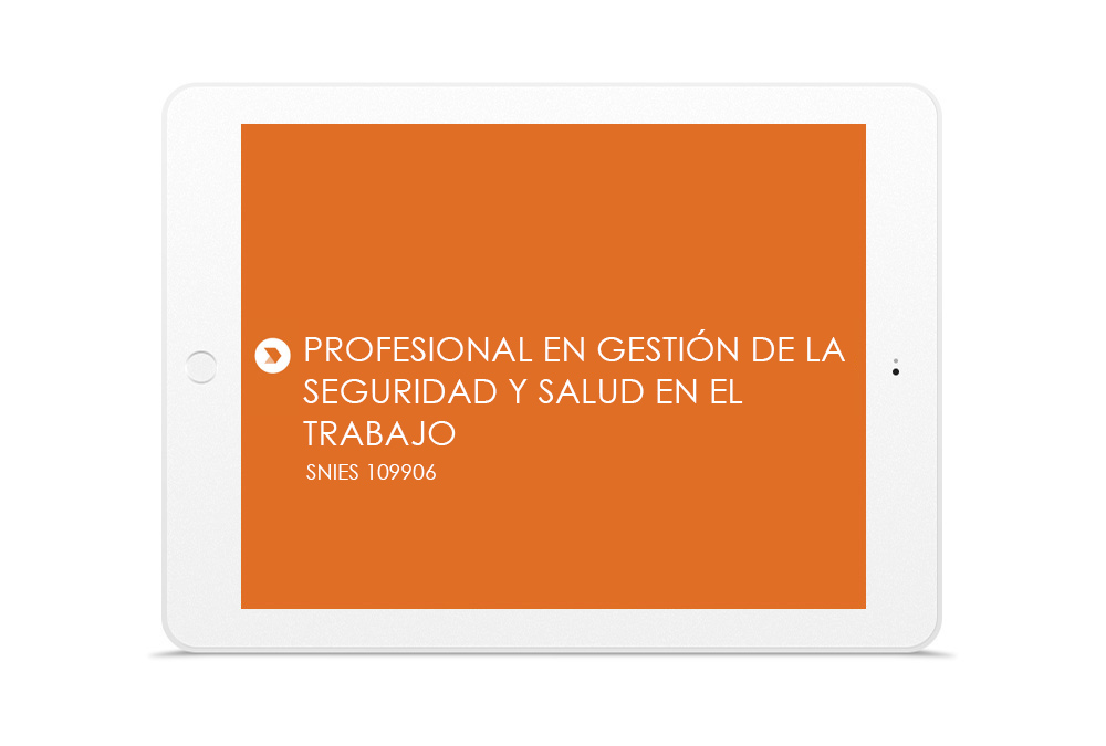 PROFESIONAL EN GESTIÓN DE LA SEGURIDAD Y SALUD EN EL  TRABAJO