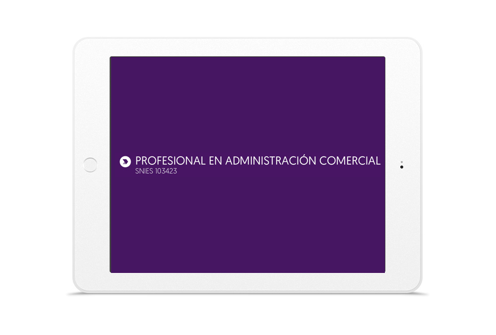 PROFESIONAL EN ADMINISTRACIÓN COMERCIAL