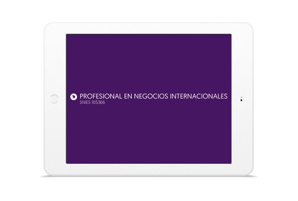 PROFESIONAL EN NEGOCIOS INTERNACIONALES