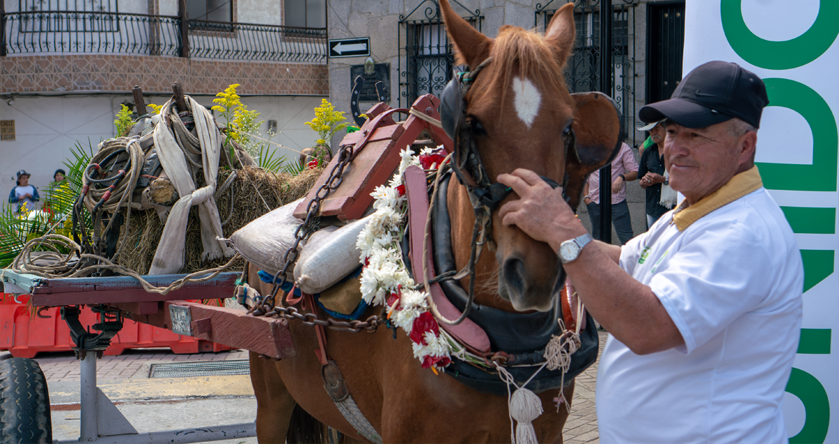 Equipo psicosocial del TdeA integra campaña “Adopta un caballo, transforma una vida”